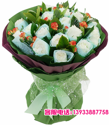 19枝白玫瑰精美独立包装,配叶搭配 