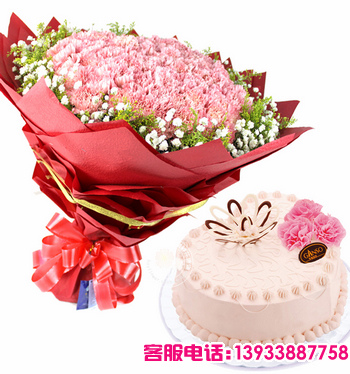 四川省乐山市鲜花蛋糕店-商品描述：66支粉色康乃馨，搭配黄莺，满天星点缀。+8寸鲜奶蛋糕 
