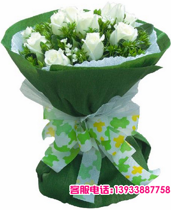 11枝白玫瑰，配叶满天星点缀