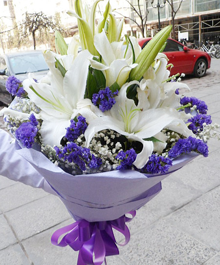 四川省乐山市鲜花蛋糕店-商品描述：白色多头香水百合5支(12朵以上)，满天星边插，勿忘我搭配。