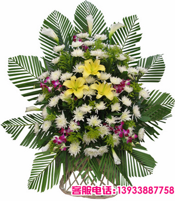 白菊花，百合，洋兰，黄莺针叶搭配。