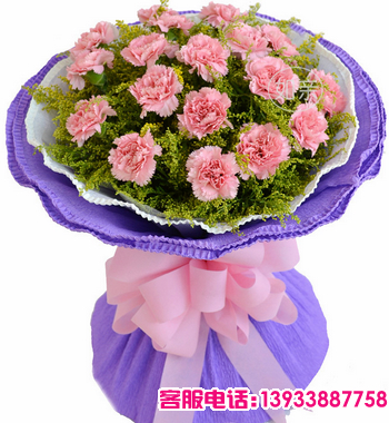 20支粉色康乃馨，黄莺搭配