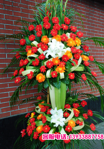 百合，扶郎，剑兰，剑叶，针叶，鱼尾叶，排草等配叶