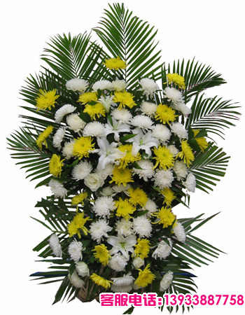 采用白菊、黄菊、白百合搭配白玫瑰，以散尾葵为衬托所精心设计制作