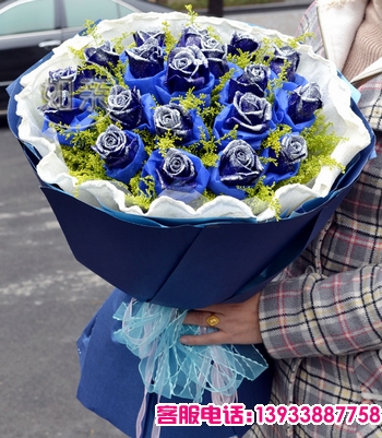 19朵蓝色玫瑰蓝色棉纸单独包装每支，黄莺点缀。(由于季节关系，不是随时都有蓝玫瑰，请客户在订购此花前与我们联系,蓝玫瑰非天然）