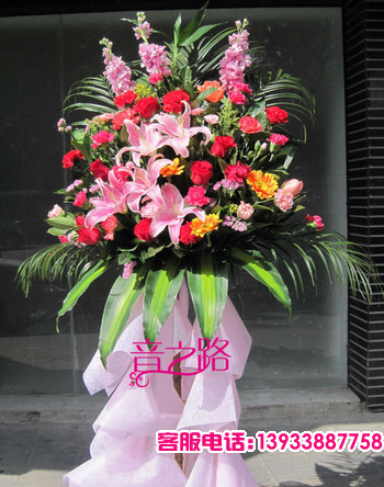 扶朗，玫瑰，百合，康乃馨，紫罗兰，配花配草绿叶丰满，（紫罗兰有季节性，如果没有将用其它花材代替）。