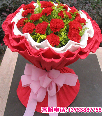 四川省乐山市鲜花蛋糕店-商品描述：20支红色康乃馨，黄莺搭配