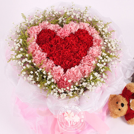 33朵粉色红色优质康乃馨，点缀黄莺，满天星