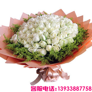 99枝白玫瑰，黄莺丰满环绕。
