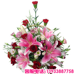 红色/粉色/紫边康乃馨共6枝，红玫瑰7枝，粉香水百合2枝，粉桔梗+叶上黄金+绿叶。
