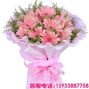 20枝粉色太阳花（即扶郎），黄莺搭配。
