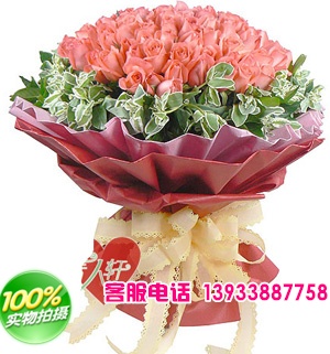 99朵粉玫瑰，高山积雪围一圈。