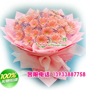 粉色太阳花36支。