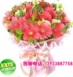 18枝粉色扶郎花，搭配黄莺丰满；
