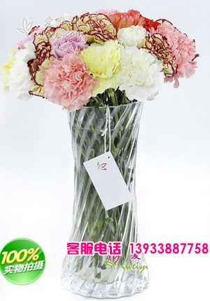 36枝各种颜色康乃馨