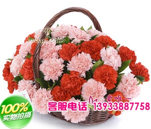 18枝粉色康乃馨，18枝红色康乃馨。