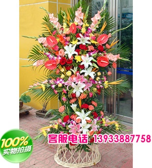 红掌5枝，红玫瑰20枝，粉玫瑰20枝，粉、白香水百合共1 1朵，黄色太阳花(或黄菊花)20枝，各色康乃馨28枝，洋兰、剑兰、小鸟若干，散尾叶，黄莺、绿叶间插