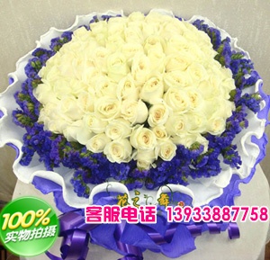 99朵白玫瑰，周围勿忘我点缀；