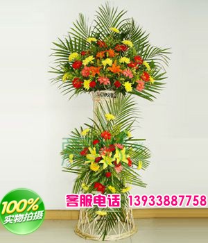 黄菊，红非，桔红非，红康，姬百合，点缀适量黄莺和散尾；