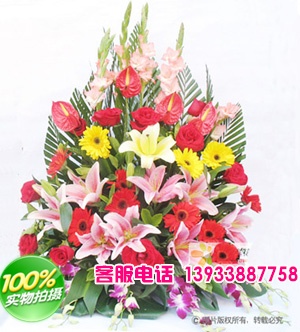 多头粉香水百合4枝，红玫瑰11枝，红扶郎6枝，黄扶郎3
枝，黄百合1枝，红掌4片，剑兰6枝，洋兰0.5扎；底部配
叶：桅子叶、巴西叶、龟背叶适量；背面配叶：散尾叶呈
扇形排列