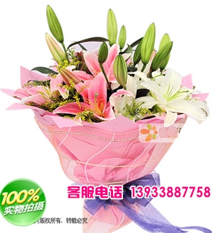 白+粉香水百合共6枝，黄莺适量