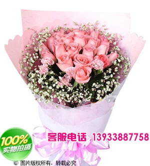 20枝粉玫瑰，满天星适量围绕