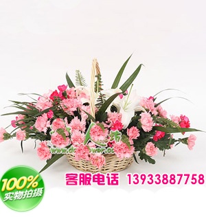 粉色康乃馨36支、白色香水百合1支，多头康乃馨、排草等。