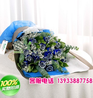 昆明蓝玫瑰19支，尤加利、满天星、绿叶。(由于季节关系，不是随时都有蓝玫瑰，请客户在订购此花前与我们联系,蓝玫瑰非天然）