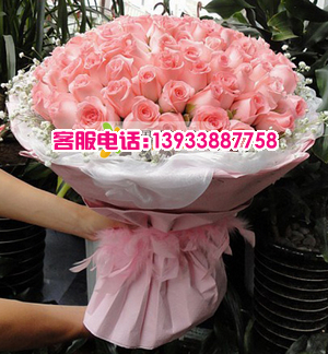 粉玫瑰100枝，满天星环绕